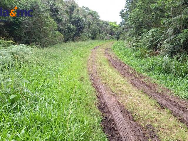 #313 - Área para Venda em São Paulo - SP - 2